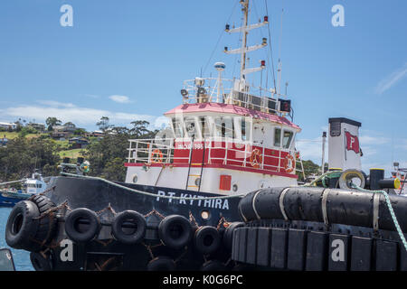 La pesca commerciale Trawler barche nel porto di Eden Nuovo Galles del Sud il duplice Eden Bay Australia Foto Stock