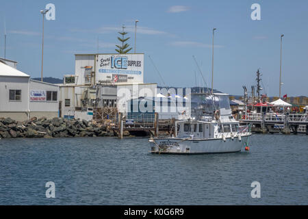 Una Pesca Sportiva noleggio barche ormeggiate nel porto di Port Eden Nuovo Galles del Sud Australia Foto Stock
