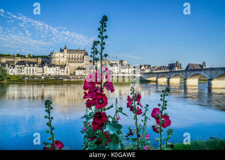 Francia, Center-Val de Loire, Malva fiori sulle rive del fiume Loira con vista di Amboise, Castello di Amboise e Pont du Maréchal Leclerc Foto Stock