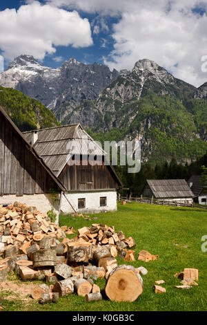 Tagliare e di legna da ardere spaccati in alta alpine Zadnja Trenta Valley con i tradizionali Bovec Trenta agriturismo architettura e picco di rasoio nelle Alpi Giulie Foto Stock