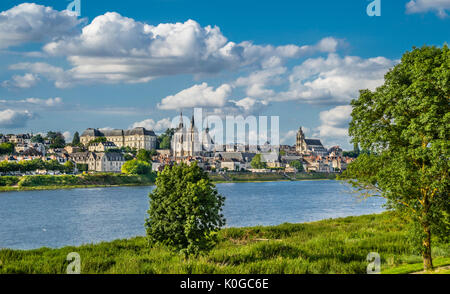 Francia, Valle della Loira, Loir-et-Cher reparto, vista panoramica di Blois sul fiume Loira Foto Stock