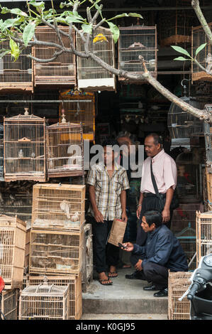 I clienti di ammirare gli uccelli all'uccello e il mercato degli animali a Denpasar, meridionale di Bali, Indonesia. Foto Stock