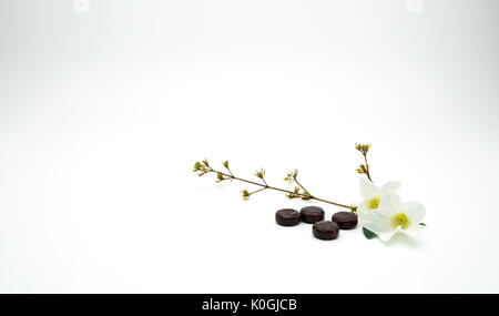 La medicina di erbe pastiglie per la tosse rilievo mettere vicino a fiore bianco e il ramo su sfondo bianco con copia spazio. Foto Stock