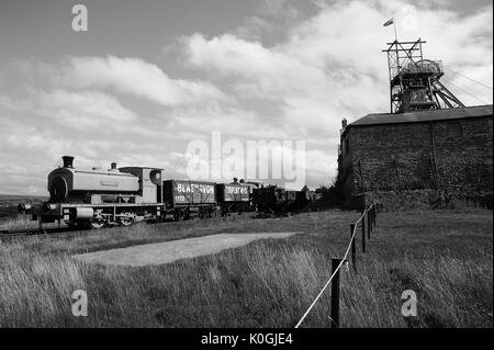 " Nora' in mostra statica al Big Pit. Foto Stock