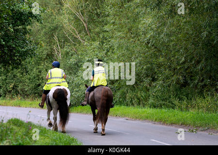 Due donne equitazione cavalli su una strada di campagna, Warwickshire, Regno Unito Foto Stock