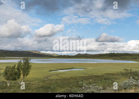 Piccolo stagno al piatto in montagna Alta Finnmark Norvegia Foto Stock