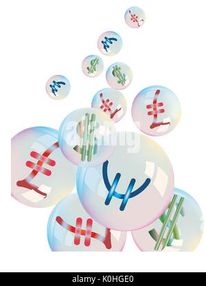 Valuta diversa nelle bolle su sfondo bianco Illustrazione Vettoriale