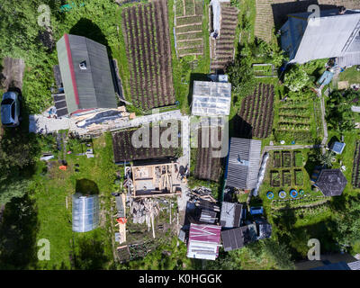 Estate tenute con fienili e cucina-giardino sono in una foresta di conifere in Carelia, Russia. vista superiore Foto Stock