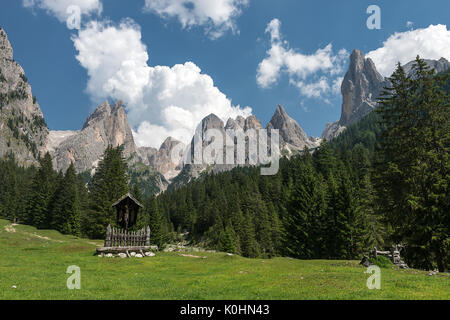 Tires, Dolomiti, Alto Adige, Italia. Nella Valle di Ciamin Foto Stock