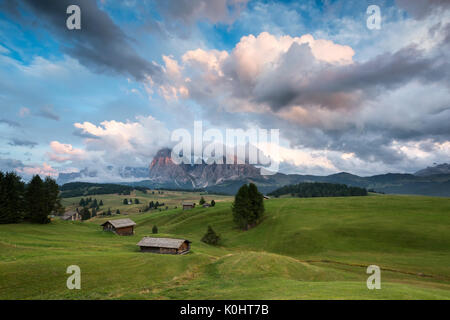 Alpe di Siusi / Seiser Alm, Dolomiti, Alto Adige, Italia. Vista dall' Alpe di Siusi verso le vette del Sassolungo/Sassolungo e Sassopiatto / Sassopiatto Foto Stock