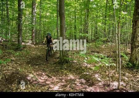 Femmina mountain biker con il cane che corre lungo il lato Foto Stock