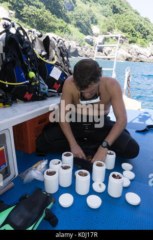 Scienziato organizzazione di campioni raccolti nel corso di immersione sul Ilha da Queimada grande isola, Brasile Foto Stock