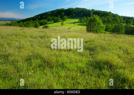 Baskett Butte prateria lungo ricco Guadagno Memorial Trail, Baskett Slough National Wildlife Refuge, Oregon Foto Stock