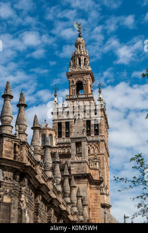 La Giralda, la torre campanaria della cattedrale di Siviglia costruito come il minareto nel periodo di moresco con uno stile rinascimentale top aggiunto dopo i Musulmani espulsione Foto Stock