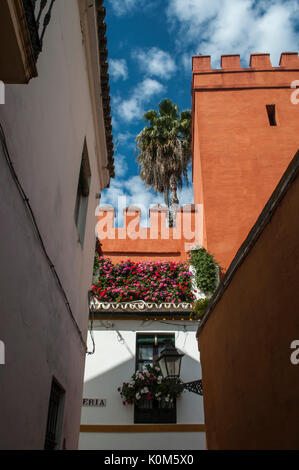 I vicoli e i palazzi del Barrio de Santa Cruz, il principale quartiere turistico di Siviglia e il vecchio quartiere ebraico della città medievale Foto Stock