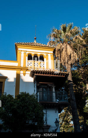 I vicoli e i palazzi del Barrio de Santa Cruz, il principale quartiere turistico di Siviglia e il vecchio quartiere ebraico della città medievale Foto Stock