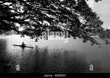 Uomo in barca rabindra sarobar, Calcutta, West Bengal, India, Asia Foto Stock