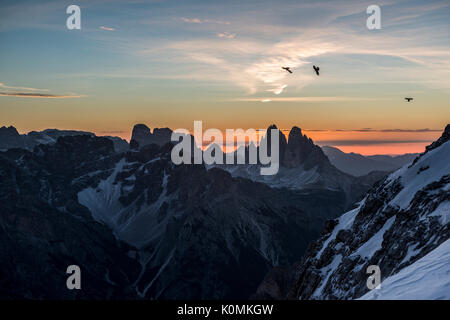 Picco di Vallandro, Prato Piazza, Dolomiti, Alto Adige, Italia. Sunrise alla Tre Cime di Lavaredo / Drei Zinnen Foto Stock