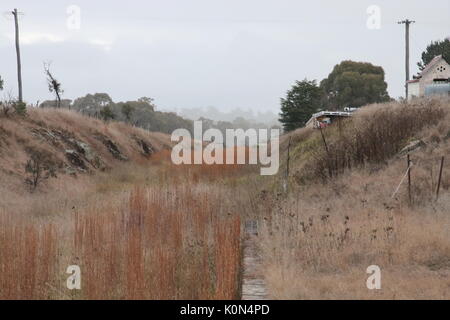 La vecchia linea ferroviaria oggi giace incolto vicino Deepwater NSW Foto Stock