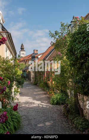 Le rose sulla vecchia strada stretta Fisherman's Alley (Fiskargrand). Visby, Gotland, Svezia e Scandinavia. Foto Stock