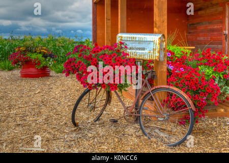 Il Parkside Pioneer Patch mostra di una vecchia bicicletta e cassetta postale con fiori a Winkler, Manitoba, Canada. Foto Stock