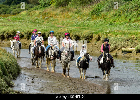 Percorsi per Pony lungo il fiume Gannel e estuario di marea a Newquay in Cornovaglia. Foto Stock