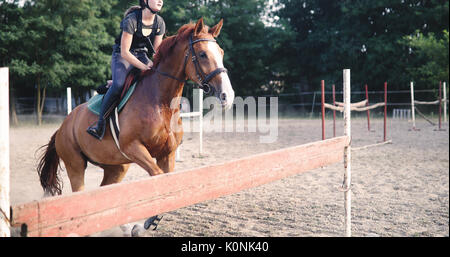 Ritratto di giovane donna jockey di equitazione Foto Stock