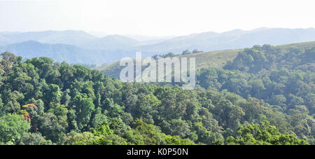 Gavi la riserva della foresta nel Kerala. Foto Stock