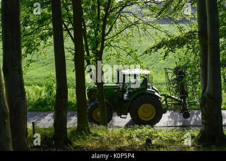 Polonia, Juchowo, organico il latte di vacca fattoria / POLEN, Juchowo, biologisch wirtschaftender Milchviehbetrieb Foto Stock