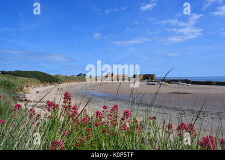 Beadnell Bay, Northumberland Foto Stock