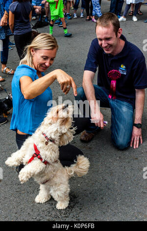 Un giudice maschio guarda a un cane di eseguire trucchi durante l annuale South Street la giornata dello sport e Dog Show, Lewes, East Sussex, Regno Unito Foto Stock