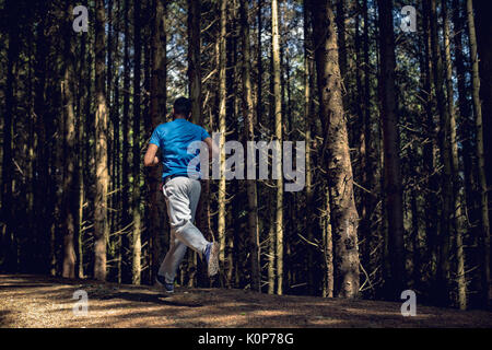 Vista posteriore del giovane uomo che corre sulla strada da alberi in foresta Foto Stock