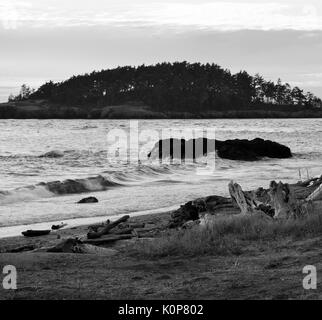 Oceano Pacifico in inganno passano in bianco e nero Foto Stock