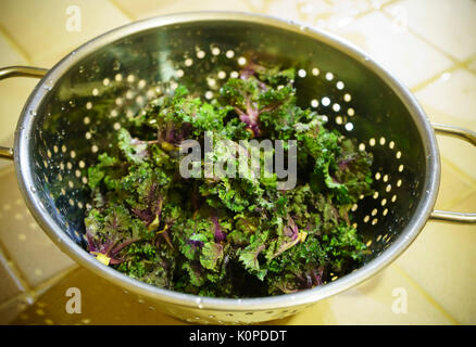 Lavate kalettes - l'ibrido vegetale è un incrocio tra il cavolo e i cavoli di Bruxelles Foto Stock