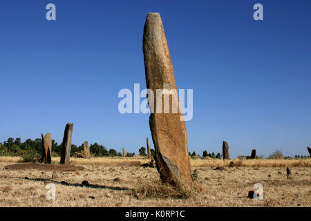 Stele Gudit Campo, Axum, Etiopia. Chiamato dopo la regina Gudit, decimo secolo. Etiopia, Africa, novembre 2006. Foto Stock