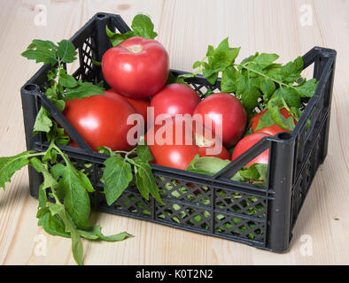 Pomodori rossi in una cassetta con foglie di pomodoro su un sfondo di legno Foto Stock