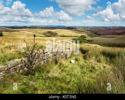 Parete in rovina in cima ambiti su Haworth Moor Haworth West Yorkshire Inghilterra Foto Stock