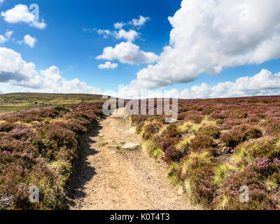 La Pennine Way su Stanbury Moor vicino Haworth West Yorkshire Inghilterra Foto Stock