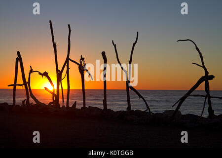 Driftwood accedi Hokitika Foto Stock
