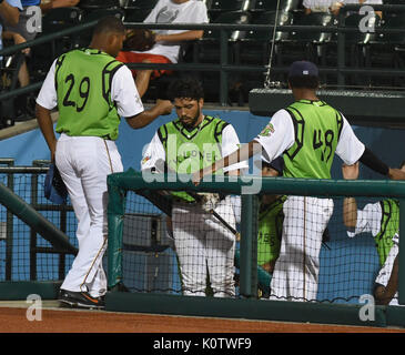 Brooklyn, NY - agosto 22r New York Mets pitcher Jeurys Familia in quello che potrebbe essere il suo ultimo rehab prima assegnazione joing il Mets piantato in un gioco di riabilitazione per il Brooklyn cicloni su agosto 23, 2017 a MCU Park a Brooklyn, New York. Familia inclinate 13 piazzole gettando 11 colpisce mentre dando il massimo 1 hit. Credito Foto: Giorgio Napolitano/MediaPunch Foto Stock