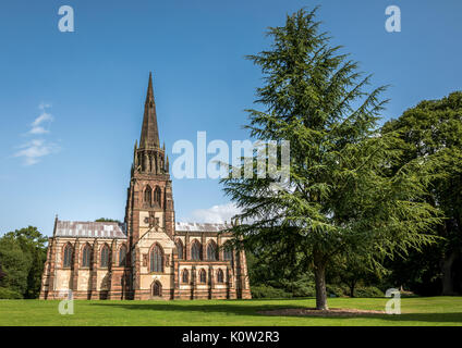 Clumber Park, Worksop, Nottinghamshire, Regno Unito. 24 Ago, 2017. Una bella giornata di sole a Clumber Park, Worksop, Nottinghamshire, Regno Unito. Credito: James Wilson/Alamy Live News Foto Stock