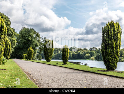 Una bella e soleggiata giornata estiva a Clumber Park, Worksop, Nottinghamshire, Regno Unito - Clumber Park a piedi lungo il lago Foto Stock