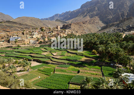 Villaggio di Balad Sayt, Hajar al Gharbi montagne, Dakhiliyah, Oman Foto Stock