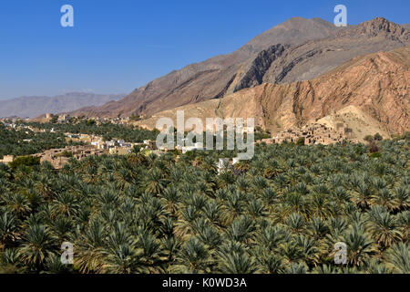 Birkat Al Mawz oasi, Hajar al Gharbi montagne, Dakhiliyah, Oman Foto Stock