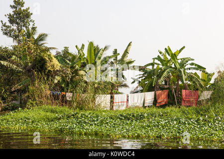 Backwaters nel Kerala, India Foto Stock