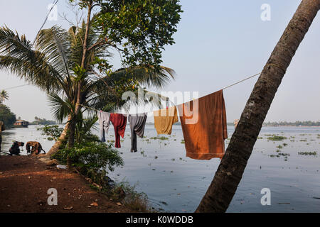 Backwaters nel Kerala, India Foto Stock