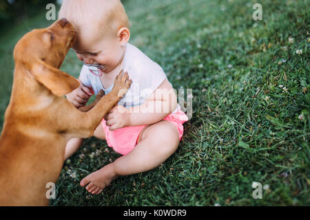 Ritratto di simpatici baby giocando con il cane Foto Stock