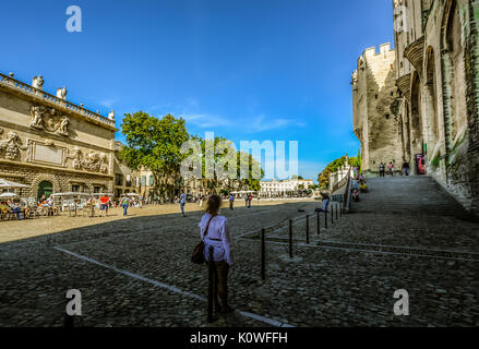 Una donna si rilassa e gode di vedute presso l'antico Palazzo dei Papi nella regione della Provenza di Avignon Francia in una calda giornata estiva Foto Stock