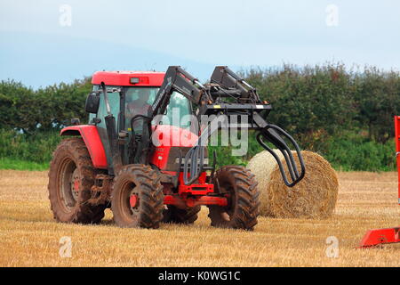 Un contadino raccoglie il suo giro le balle di paglia da un campo con la sua appositamente adattato il trattore con una struttura di pinza per il prelievo della enorme balle e farli ruotare. Foto Stock