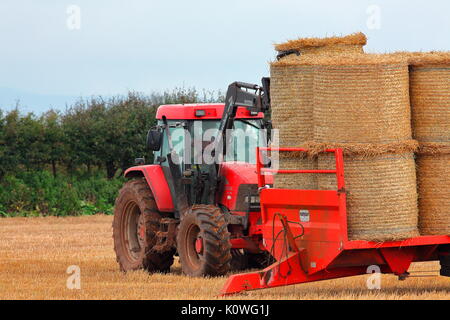 Un contadino raccoglie il suo giro le balle di paglia da un campo con la sua appositamente adattato il trattore con una struttura di pinza per il prelievo della enorme balle e farli ruotare. Foto Stock